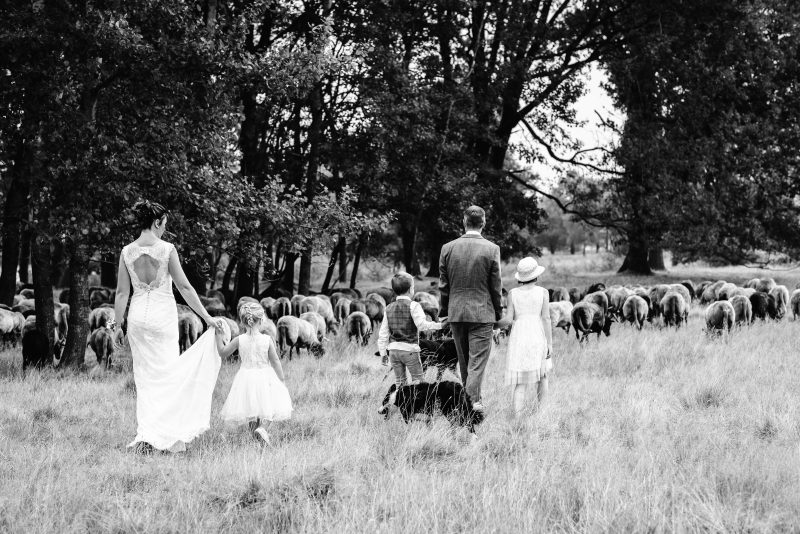 bruidsfotografie Assen, Balloërveld, jantina fotografie, natuurlijk licht fotograaf, zwart/wit fotografie, trouwen, witte jurk, op de heide, bomen, gezinsfotografie, kinderen bij trouwen, schaapskooi, Drenthe
