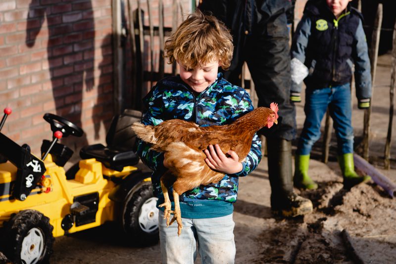 day in the life, familie reportage, bij mensen thuis fotograferen, kinderen op de boerderij, fotograaf Assen, natuurlijkliacht fotograaf, fotograaf in Drenthe, lekker buiten spelen, dieren op de boerderij, kippen