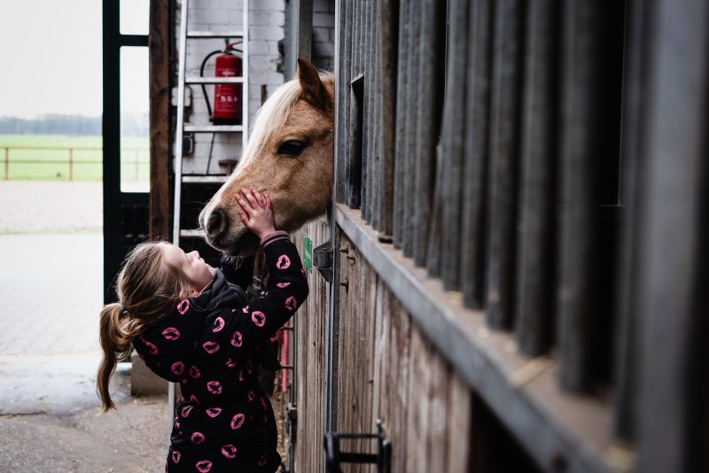 day in the life, familie reportage, bij mensen thuis fotograferen, kinderen op de boerderij, fotograaf Assen, natuurlijkliacht fotograaf, fotograaf in Drenthe, lekker buiten spelen, dieren op de boerderij, paarden meisjes