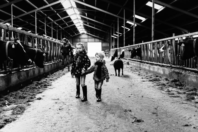 day in the life, familie reportage, bij mensen thuis fotograferen, kinderen op de boerderij, fotograaf Assen, natuurlijkliacht fotograaf, fotograaf in Drenthe, zusje door de koeienstal