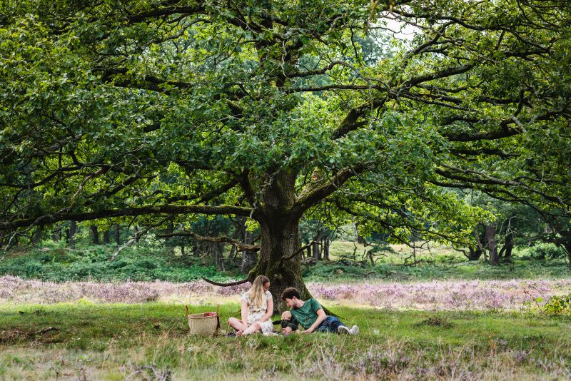 picknicken met gezin, buiten shoot, zwart/wit, natuurlijk licht fotograaf, Schipborg, op de heide, ouders en kind