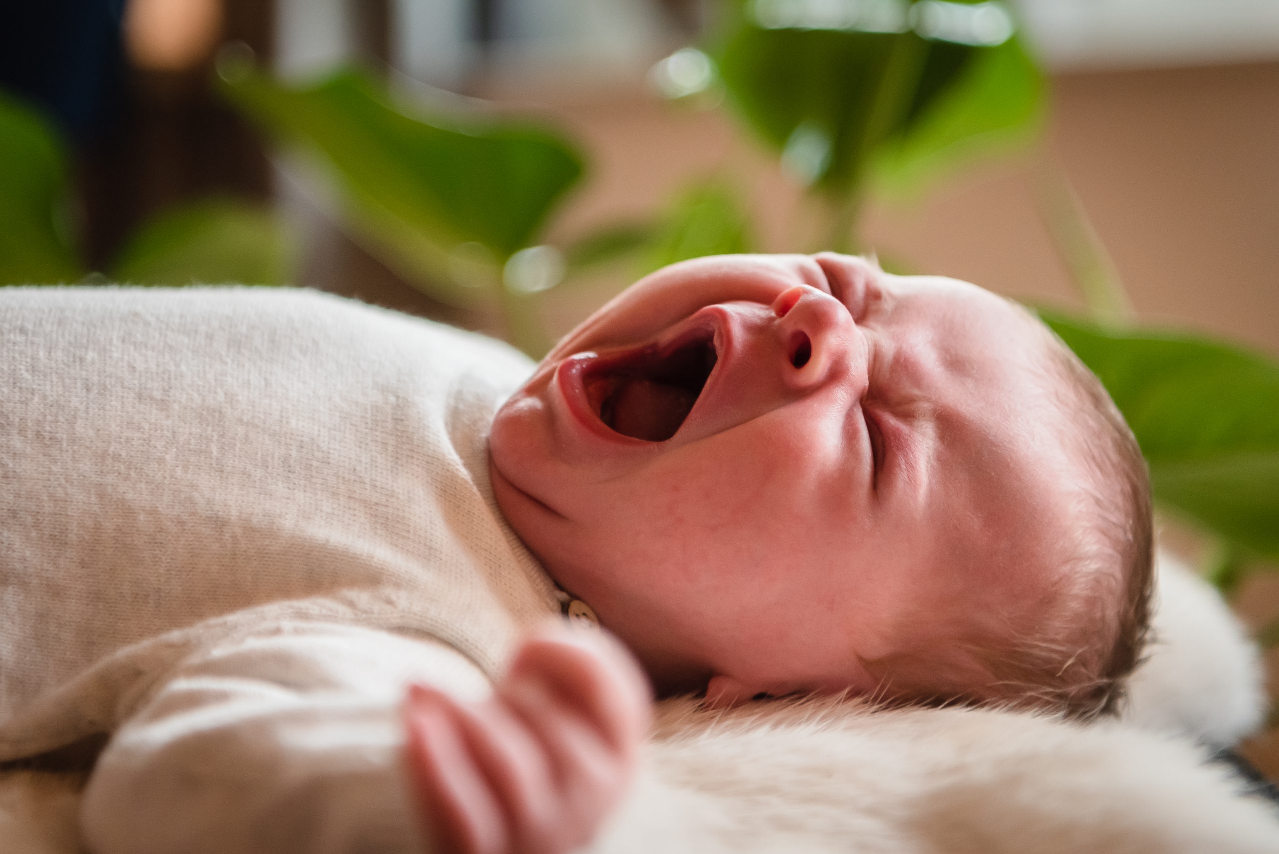 newborn, kleine baby, eerst week na de geboorte foto's, familie fotograaf Assen, familiefotograaf Drenthe, gezinsfotograaf Assen, gezinsfotograaf assen, day in the life, heerlijk gapen