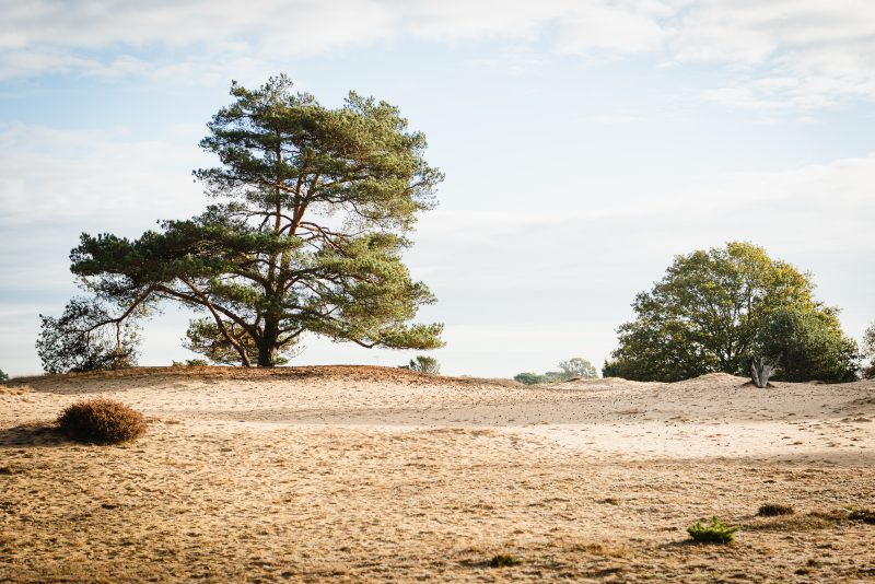 zakelijke fotografie Drenthe, profielfoto, jezelf zichtbaar maken, zakelijke fotografie Assen, zakelijke fotografie Groningen, je eigen verhaal vertellen met beelden, zakelijke fotografie Overijsel